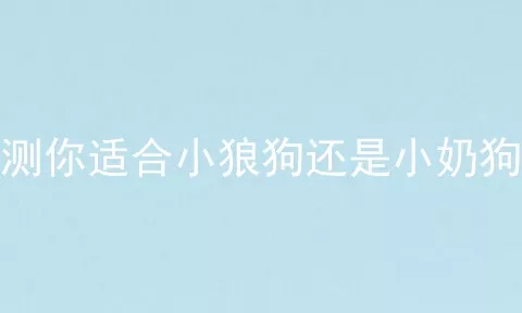 测你适合小狼狗还是小奶狗