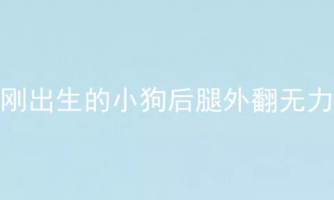 刚出生的小狗后腿外翻无力