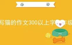 写猫的作文300以上字三年级