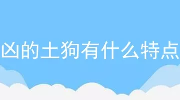 凶的土狗有什么特点