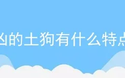 凶的土狗有什么特点