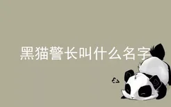 黑猫警长叫什么名字