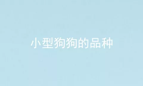 小型狗狗的品种