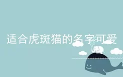 适合虎斑猫的名字可爱