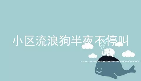 小区流浪狗半夜不停叫