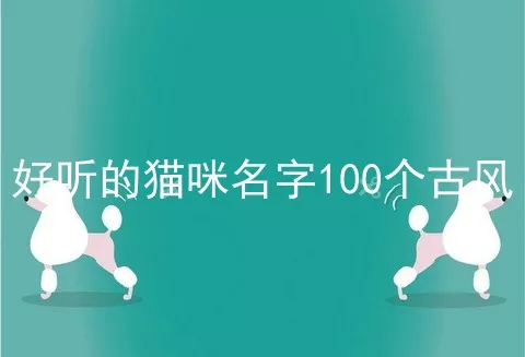 好听的猫咪名字100个古风