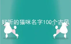 好听的猫咪名字100个古风