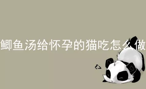 鲫鱼汤给怀孕的猫吃怎么做