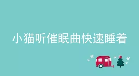 小猫听催眠曲快速睡着