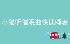 小猫听催眠曲快速睡着