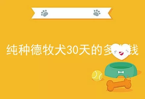 纯种德牧犬30天的多少钱