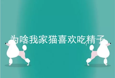 为啥我家猫喜欢吃精子