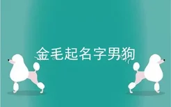 金毛起名字男狗