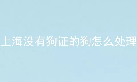 上海没有狗证的狗怎么处理