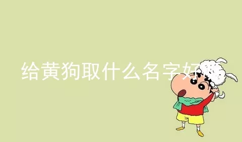 给黄狗取什么名字好听