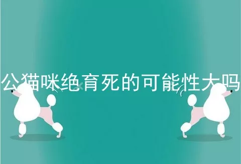 公猫咪绝育死的可能性大吗