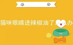 猫咪眼睛进辣椒油了怎么办