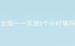 龙猫一一天放5个小时够吗