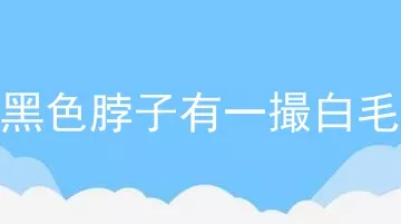 全身黑色脖子有一撮白毛的狗