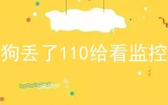 狗狗丢了110给看监控吗