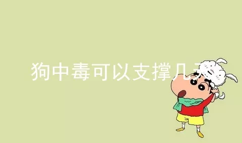 狗中毒可以支撑几天