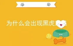 为什么会出现黑虎斑猫