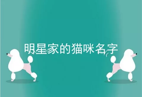 明星家的猫咪名字