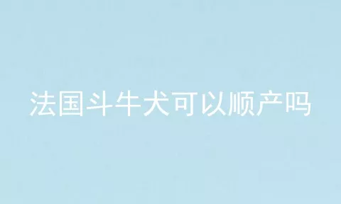 法国斗牛犬可以顺产吗