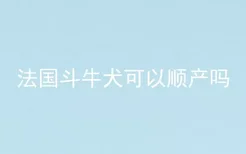 法国斗牛犬可以顺产吗