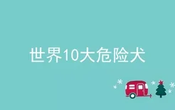 世界10大危险犬