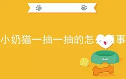 小奶猫一抽一抽的怎么回事