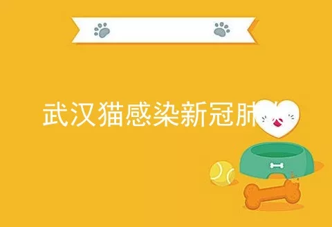 武汉猫感染新冠肺炎