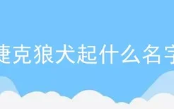 捷克狼犬起什么名字