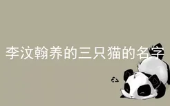 李汶翰养的三只猫的名字