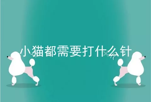 小猫都需要打什么针