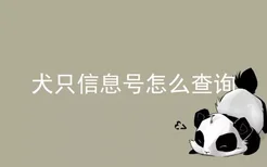 犬只信息号怎么查询