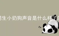 男生小奶狗声音是什么样子的