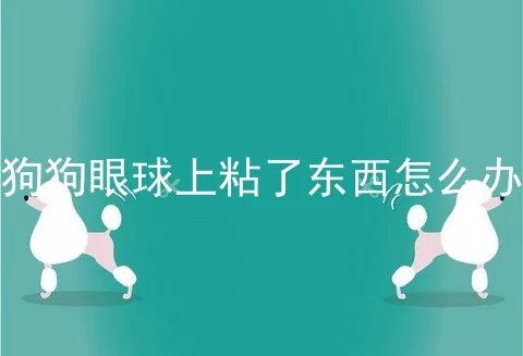 狗狗眼球上粘了东西怎么办