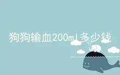 狗狗输血200ml多少钱