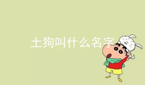 土狗叫什么名字