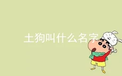 土狗叫什么名字