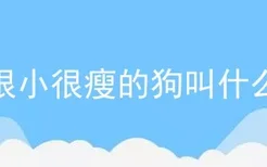 很小很瘦的狗叫什么