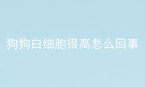 狗狗白细胞很高怎么回事