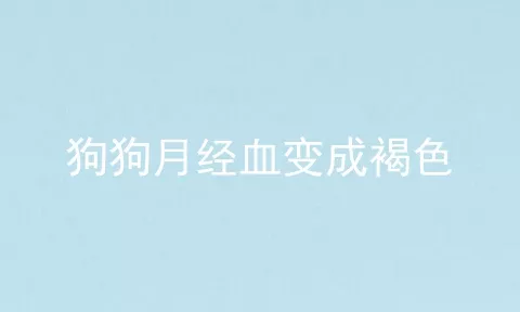 狗狗月经血变成褐色