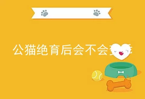 公猫绝育后会不会变乖