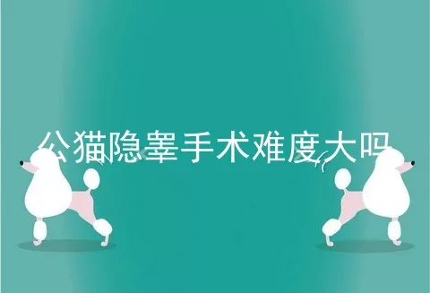 公猫隐睾手术难度大吗