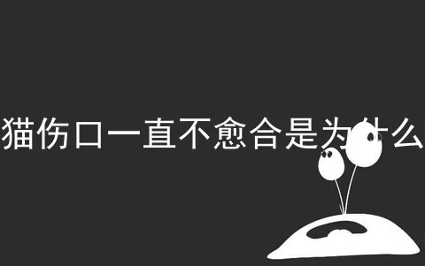 猫伤口一直不愈合是为什么