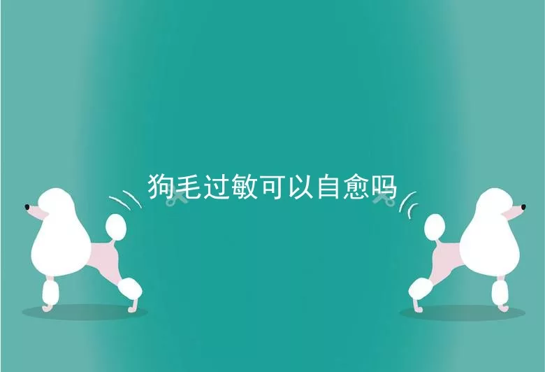 狗毛过敏可以自愈吗