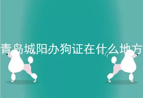 青岛城阳办狗证在什么地方