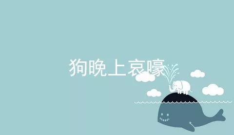 狗晚上哀嚎